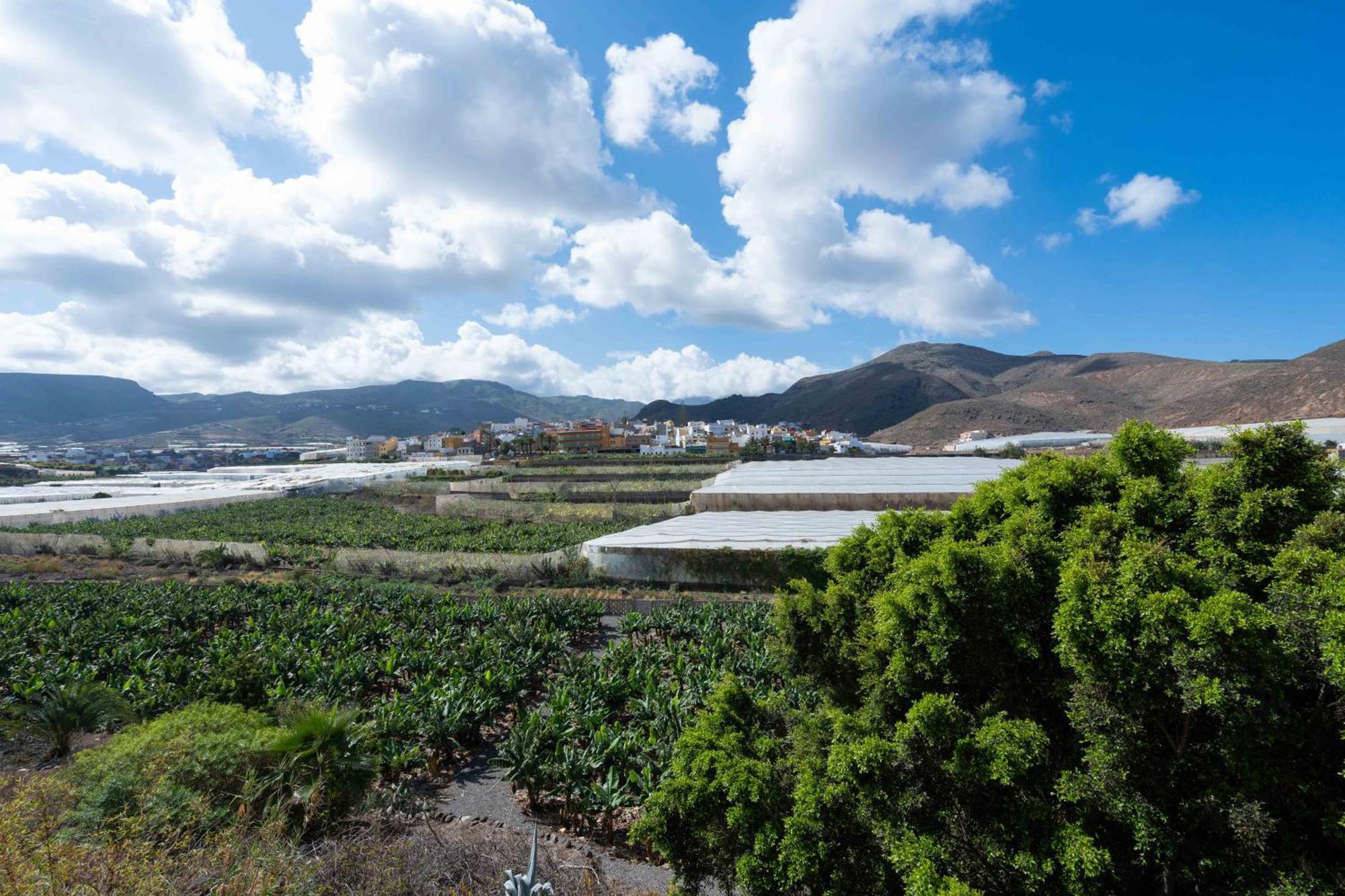 Las Fajanas De Galdar Las Palmas de Gran Canaria Zewnętrze zdjęcie